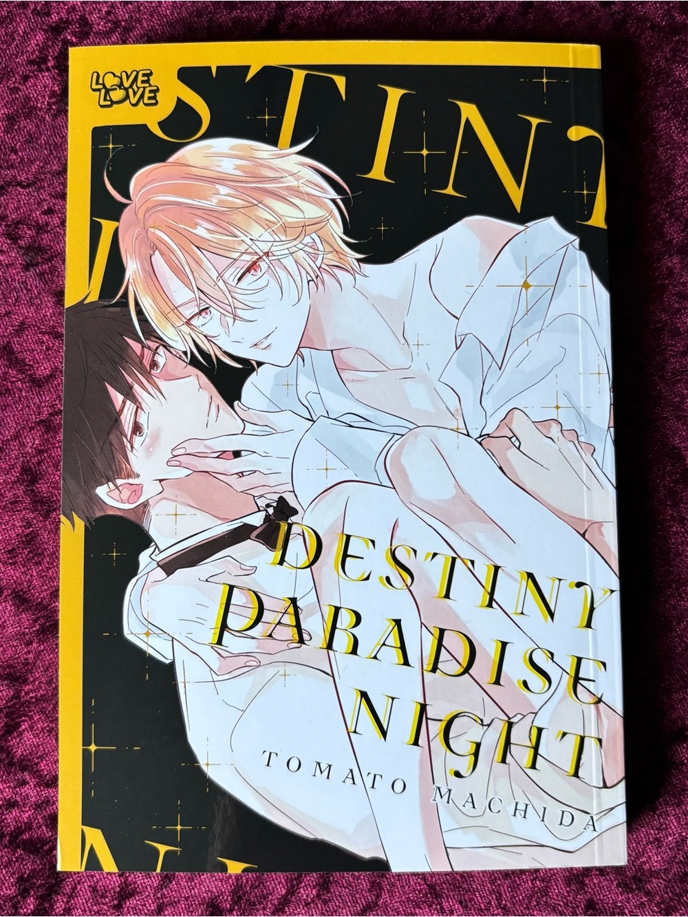 Destiny Paradise Night by Tomato Machida - Manga